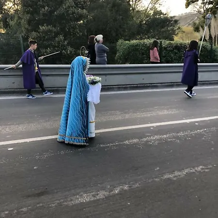 Atlantic Nest * Nazare