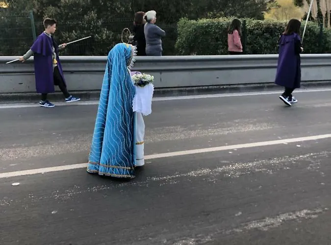 Atlantic Nest * 纳扎雷